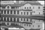 Star Boating Club and Wellington Rowing Club, Wellington