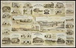 F W Niven & Co. :Views of Eltham and Stratford N Z [ca 1893]. F W Niven & Co. [lith] Ballarat, [Vic[toria, ca 1893]