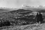 Overlooking the suburb of Newtown, Wellington