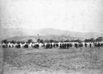 Military volunteers standing beside field guns with tents in the background