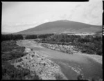 Tongariro River, Waikato region - Photograph taken by T A'Hern