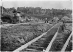 Logging railway track and locomotive hauling timber, Taupo-Totara Timer Company