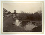 View of the Old Coach Road, Otaki