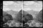 The Hermitage Hotel, partly obscured by trees, Aoraki/Mt Cook National Park, Canterbury region