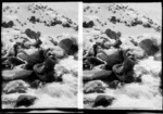 Unidentified group of skiers, helping each other over a stream and rocks, including two men holding a plank of wood, Mount Cook National Park, Canterbury Region