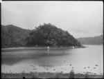 Butternut camp, Te Onepoto Bay, Porirua Harbour