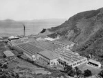 Gordon Onslow Hilbury Burt, 1893-1968 : Wellington Woollen Manufacturing Company factory building