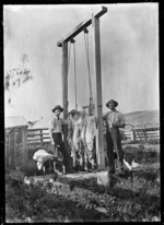 Outdoor abattoir, with two sheep carcasses strung up for skinning and butchering, at Mendip Hills, Hurunui District.