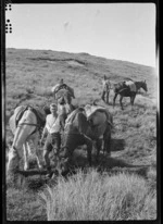 Watering horses, during construction of Kime Hut, Tararua Range
