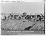 Military camp in South Africa, during the South African war