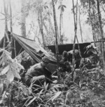 Soldiers building a temporary basha, Malaysia