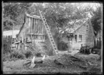 The Sarjeant house and backyard, Upper Hutt