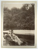 Scene on the Otaki River