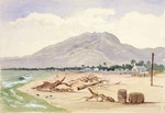 [Fox, William] 1812-1893 :Mt Rochford & Westport. [1872]