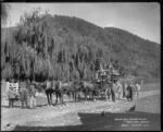 Cobb & Co coach with a parliamentary party on board, Pelorus Valley