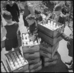 Schoolboys in Linwood, Christchurch, carrying crates of milk