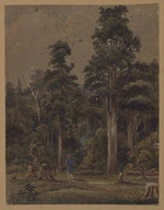 [Smith, William Mein] 1799-1869 :[Bush, possibly in the Wairarapa. 1860s?]