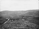 Overlooking Wainuiomata