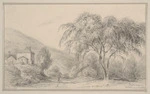 [Swainson, William] 1789-1855 :English weeping willow. New Norfolk, Tasmania. May, 1854.