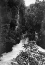 Lower Okere Falls, Lake Rotoiti