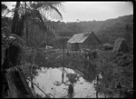 Exterior of the bush shanty bunkhouse at Glenesk [i.e. Glen Esk], near Piha.