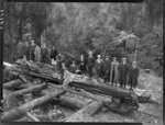 Unidentified Americans standing on fallen log at Campbells Mill, Akatarawa