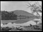 Owaka River, Catlins District