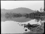 Hill reflected in a wide river or lake, Catlins District