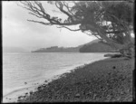 Shingle shoreline of a lake or bay, Catlins District