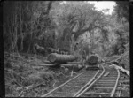 Man transporting logs with horses and railway in the Akatarawa Bush, Hutt Valley