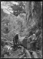Jacking a kauri log, near Piha.