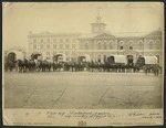 Edmund Wheeler and Son (Firm) :Photograph of horses and wagons in Cathedral Square, Christchurch