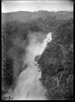 Tripping the Glen Esk Dam, Piha district, Auckland