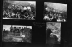 Boy Scouts visiting the Otorohanga Reservoir