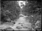 View of the Whangarei River (now known as the Hatea River).