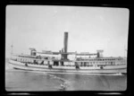 Auckland harbour ferry `Ngoiro'