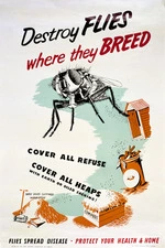 New Zealand. Department of Health :Destroy flies where they breed. Cover all refuse. Cover all heaps with earth or oiled sacking. Flies spread disease. Protect your health and home / issued by the New Zealand Department of Health. [1940-1955].