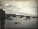 Scene on Wellington Harbour