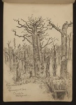 O'Grady, James, 1882?-1956 :Hun tree observation post, Gommecourt Park; church in background [1918]