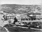 Meluish, William, 1823?-1888 (Photographer) : Dunedin