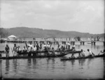 Groups of men in waka, Kohukohu