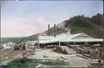 View of the Ellis and Burnand Ltd sawmill, Mangapehi