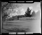 Queen's Park Gardens, Invercargill