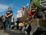 SAFE anti animal testing protest, Parliament, May 2013