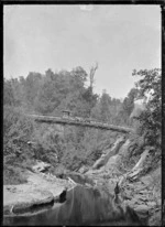 Tangarakau River, with horses and carriage crossing a suspension bridge.