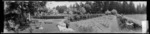 View across rose garden to side of `Fernside', a two-storied house in landscaped grounds near Featherston