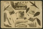 Photographer unknown :Montage of images associated with Carl Sylvius Volkner 1819-1865