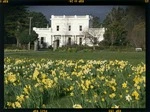 View of `Whangaimoana,' a house and garden at Palliser Bay