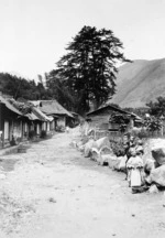 View up a village street, Japan