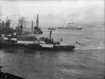 Ships in Wellington Harbour awaiting the arrival of HMS New Zealand
